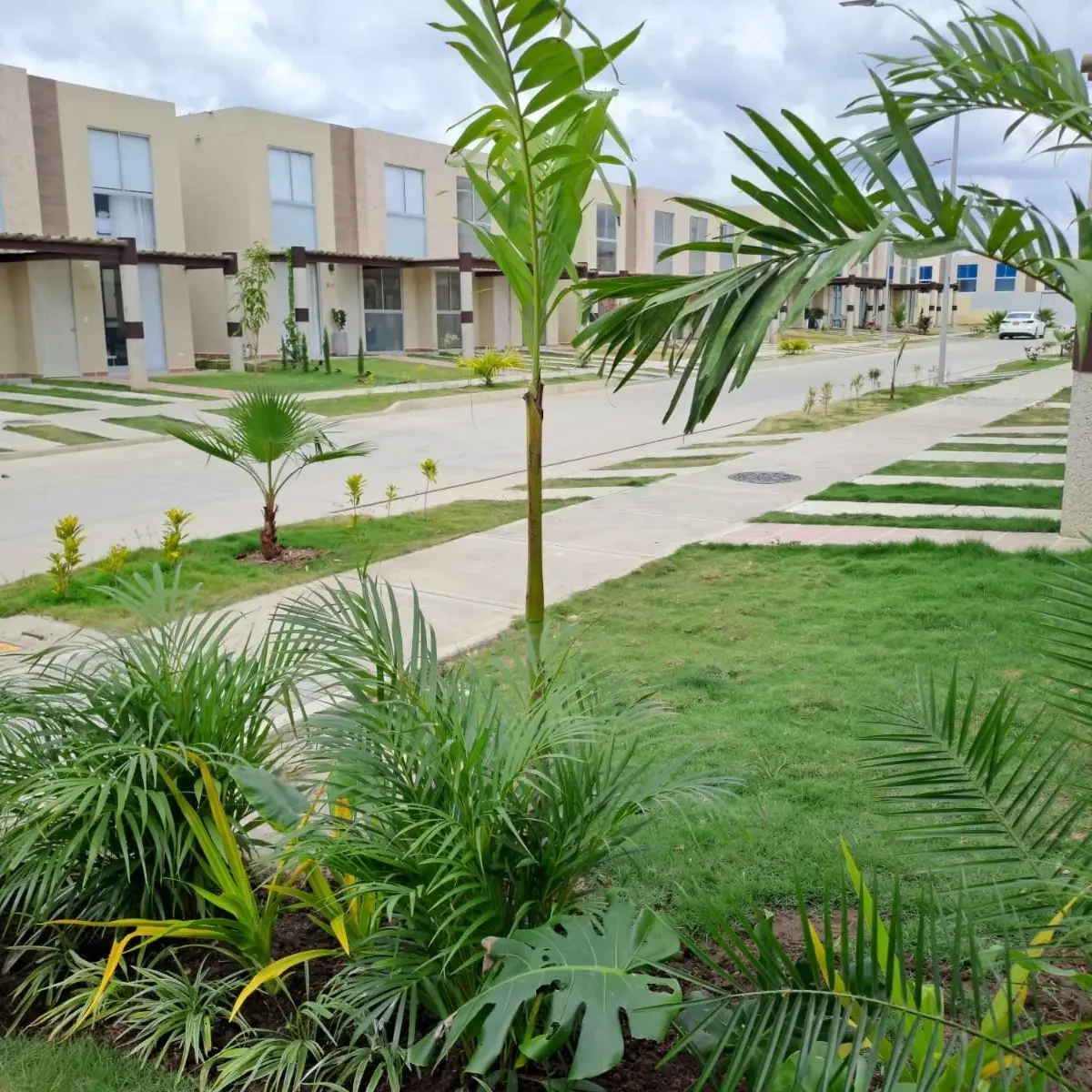 Paisajismo y jardines tropicales en condominio de Cartagena