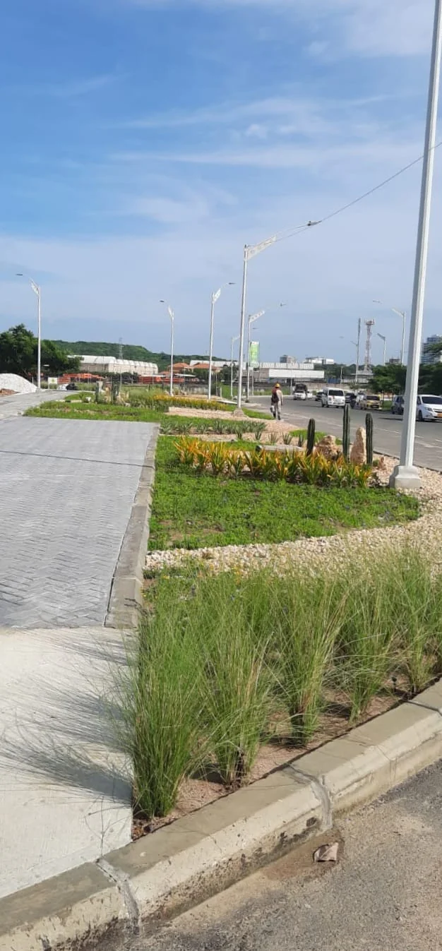 Panorámica de islas ajardinadas a lo largo de la vía de acceso y calzada de adoquín