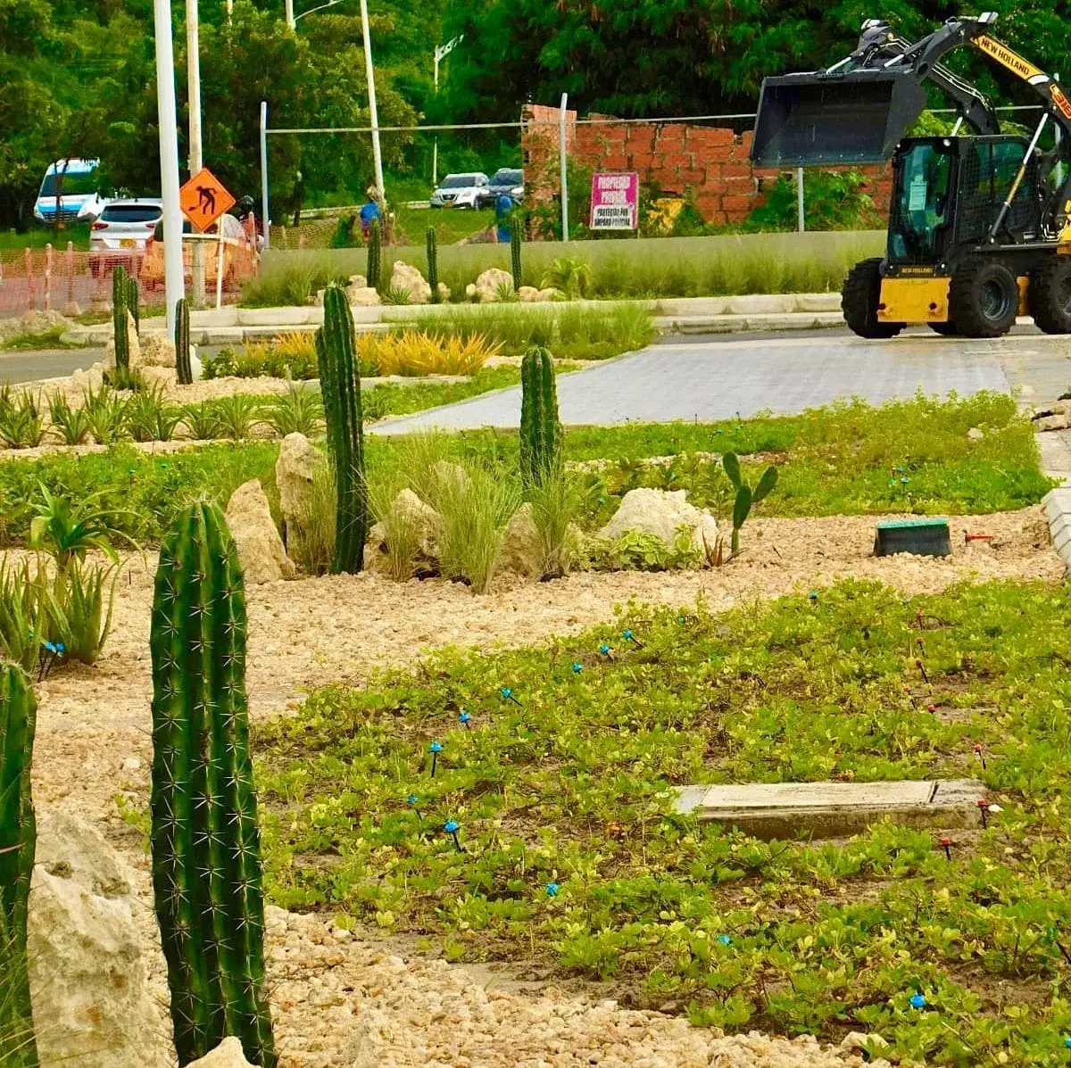 Fase de ejecución en obra: movimiento de tierras con minicargador y red de microgoteo