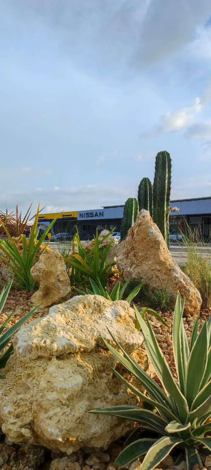 Paisajismo xerófilo con cactáceas, agaves y piedras decorativas en Sala de Ventas Nissan por Jardines & Rocas