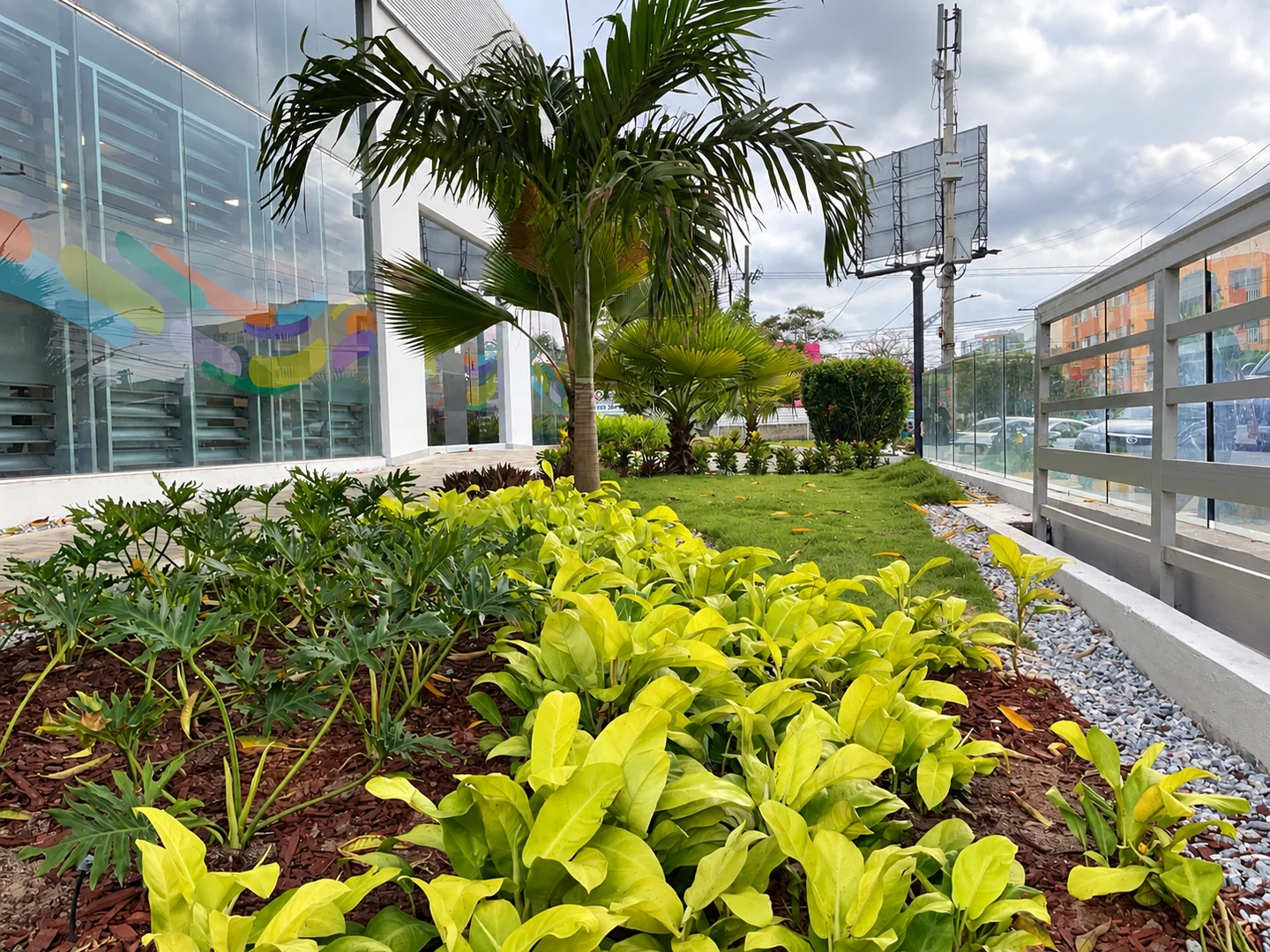 Composición botánica con filodendros verde-lima, xanadu y palmas frente a fachada de cristal