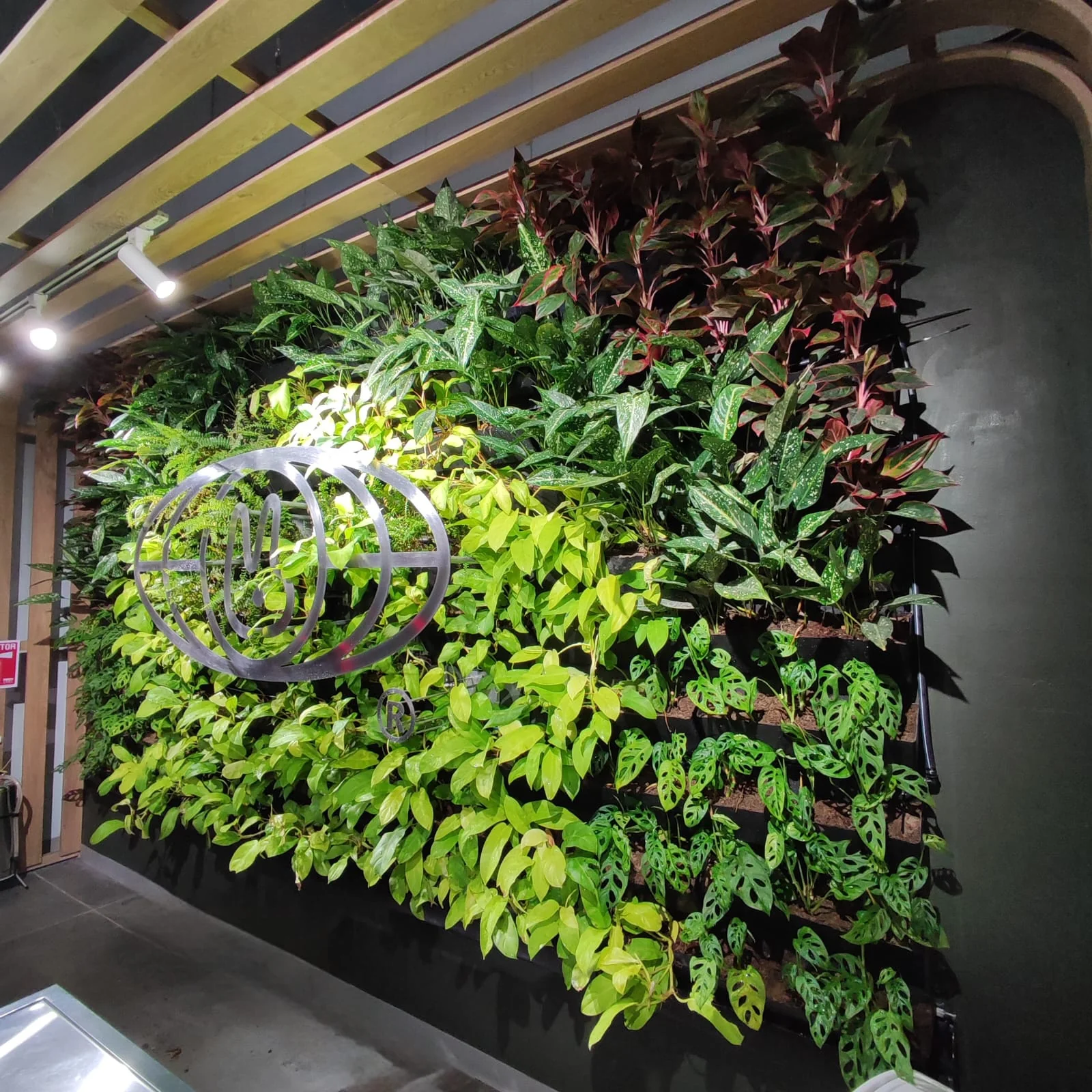Jardín vertical interior con logo metálico en tienda Mattelsa por Jardines & Rocas