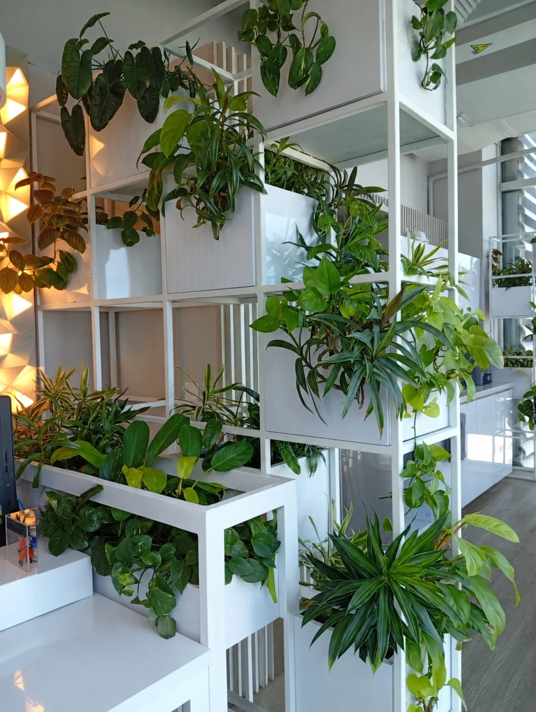 Biofilia arquitectónica y jardineras modulares con plantas de interior por Jardines & Rocas