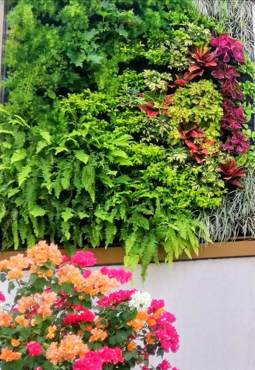 Muro verde vivo con helechos, coleos, crotones y base floral de veraneras por Jardines & Rocas