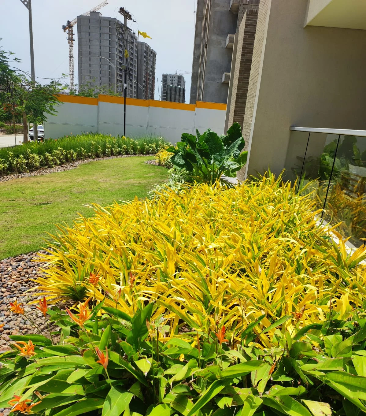 Mantenimiento integral de jardines y zonas verdes con follaje tropical y cantos rodados